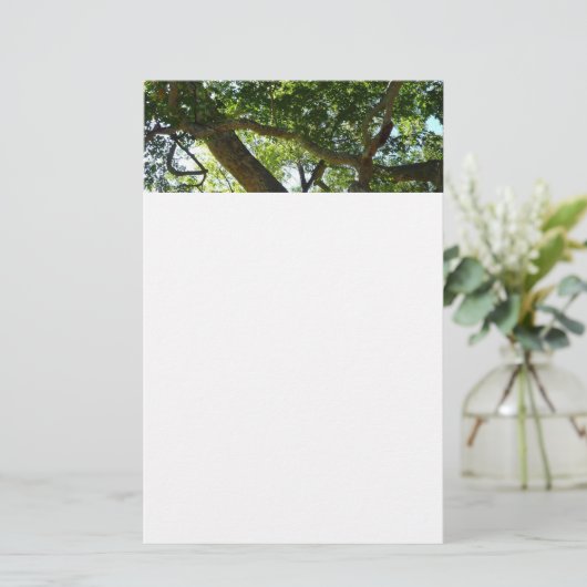 Sycamore Tree Green-Natuur Briefpapier (Staand voorkant)