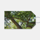 Sycamore Tree Green-Natuur Cadeaulabel (Voorkant (Horizontaal))