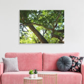 Sycamore Tree Green-Natuur Canvas Afdruk (Insitu (Woonkamer))