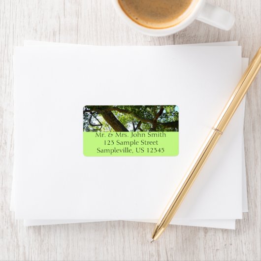 Sycamore Tree Green-Natuur Etiket (Insitu)