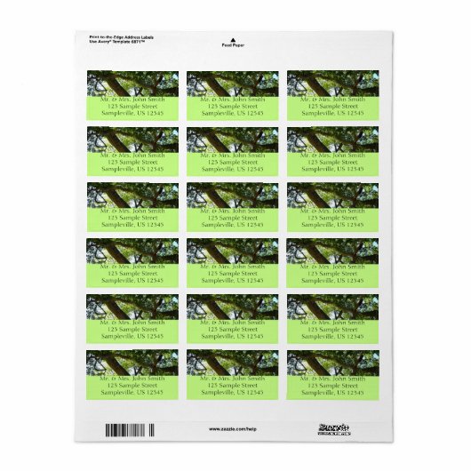 Sycamore Tree Green-Natuur Etiket (Full Sheet)