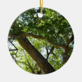 Sycamore Tree Green-Natuur Keramisch Ornament (Voorkant)