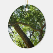 Sycamore Tree Green-Natuur Keramisch Ornament (Links)