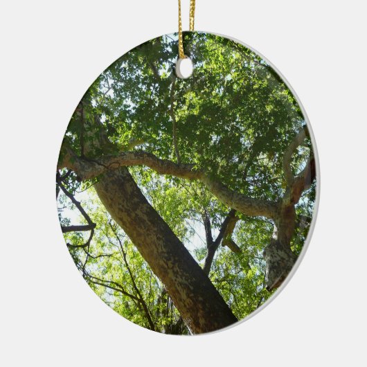 Sycamore Tree Green-Natuur Keramisch Ornament (Links)