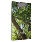 Sycamore Tree Green-Natuur Klembord (Rechts)