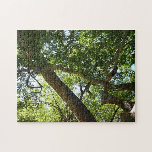 Sycamore Tree Green-Natuur Legpuzzel (Horizontaal)