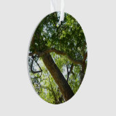 Sycamore Tree Green-Natuur Ornament (voorkant)