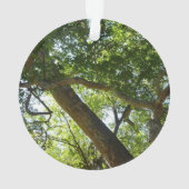 Sycamore Tree Green-Natuur Ornament (achterkant)