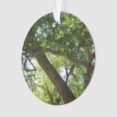 Sycamore Tree Green-Natuur Ornament (voorkant)