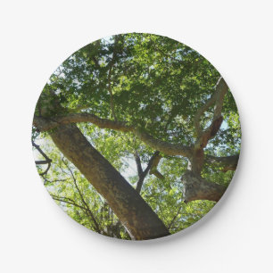 Sycamore Tree Green-Natuur Papieren Bordje