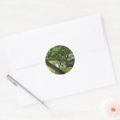 Sycamore Tree Green-Natuur Ronde Sticker (Envelop)