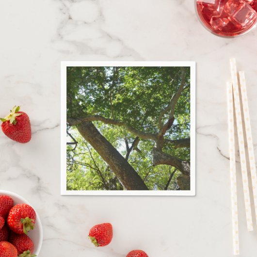 Sycamore Tree Green-Natuur Servetten (Insitu)