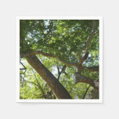 Sycamore Tree Green-Natuur Servetten (Voorkant)