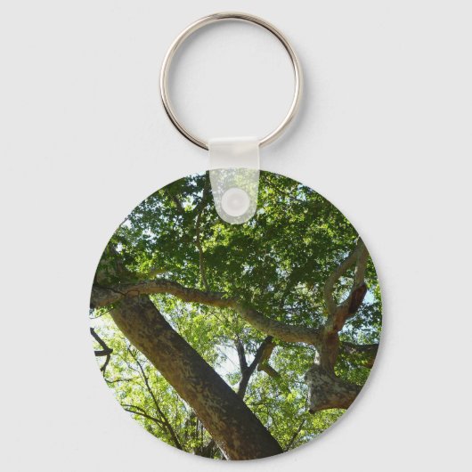 Sycamore Tree Green-Natuur Sleutelhanger (Voorkant)
