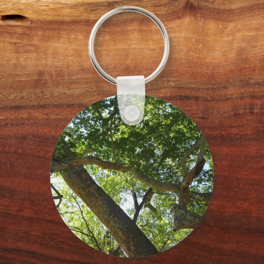 Sycamore Tree Green-Natuur Sleutelhanger (Voorkant)