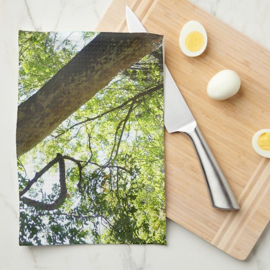 Sycamore Tree Green-Natuur Theedoek (Quarter Fold)