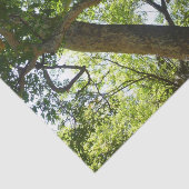 Sycamore Tree Green-Natuur Tissuepapier (Detail)