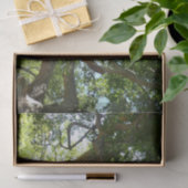 Sycamore Tree Green-Natuur Tissuepapier (Geschenk)