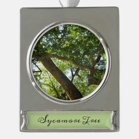 Sycamore Tree Green-Natuur Verzilverd Banner Ornament (Voorkant)