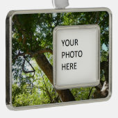 Sycamore Tree Green-Natuur Verzilverd Omlijst Ornament (Rechts)