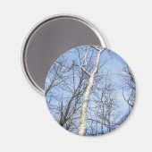 Sycamore Tree Magnet (Voorkant / Achterkant)