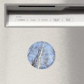 Sycamore Tree Magnet (Insitu (Vaatwasser))