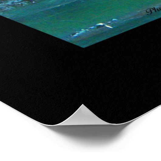 Sycamore Tree, Old Sycamore Poster (Hoek)