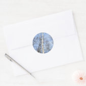 Sycamore Tree Stickers (Envelop)