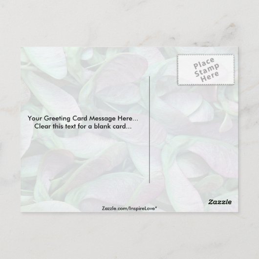 Sycamore-zaden Briefkaart (Achterkant)