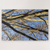 Sycomore Zonsondergang Legpuzzel (Horizontaal)