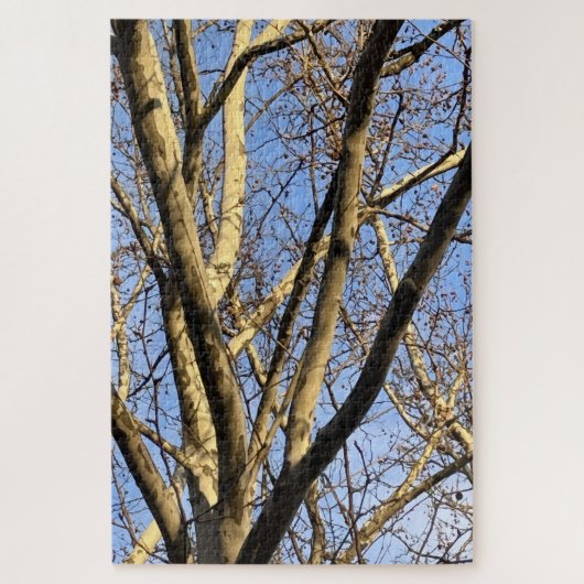 Sycomore Zonsondergang Legpuzzel (Verticaal)