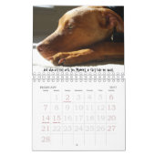 Sydney en Ziggi 2009 Kalender (Feb 2027)