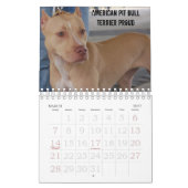 Sydney en Ziggi 2009 Kalender (Mar 2027)