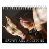 Sydney en Ziggi 2009 Kalender (Hoes)