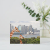 Sydney Giraffe Briefkaart (Staand voorkant)