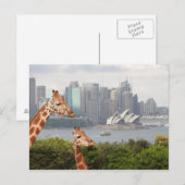 Sydney Giraffe Briefkaart (Voorkant / Achterkant)