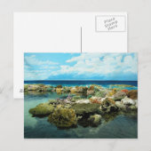 Sydney Great Barrier Reef Briefkaart (Voorkant / Achterkant)