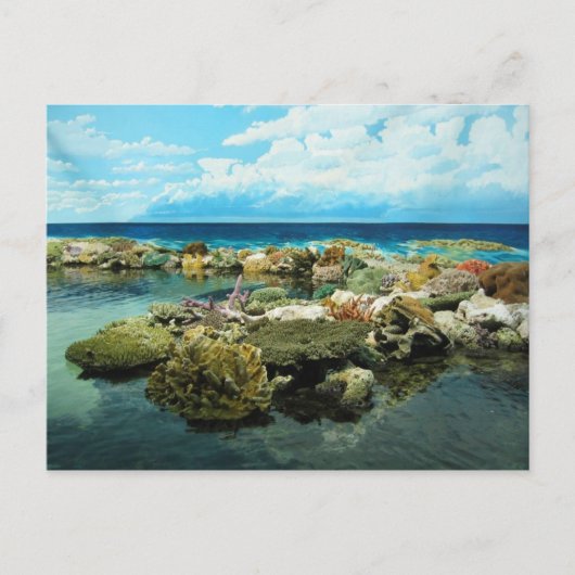 Sydney Great Barrier Reef Briefkaart (Voorkant)