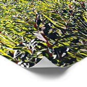 Sydney Harbour Bridge met inheemse planten Poster (Hoek)