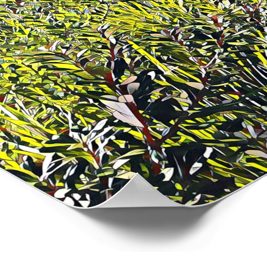 Sydney Harbour Bridge met inheemse planten Poster (Hoek)