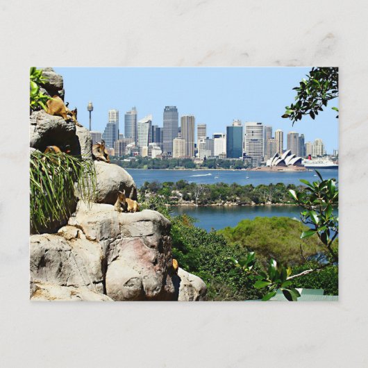 Sydney Harbour uit het Briefkaart van de dierentui (Voorkant)