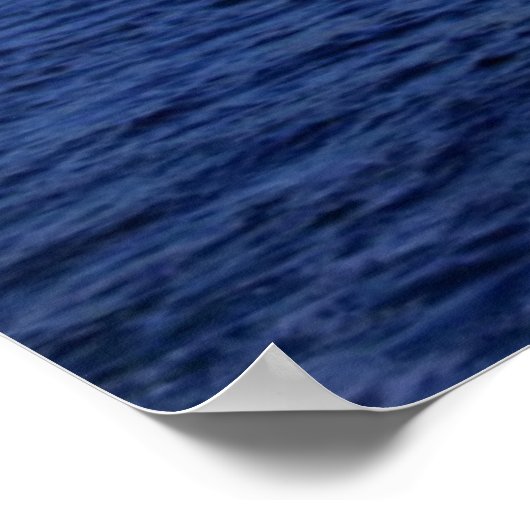 Sydney Opera House, Australië Poster (Hoek)