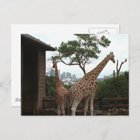 Sydney Opera House Briefkaart (Voorkant / Achterkant)