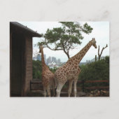 Sydney Opera House Briefkaart (Voorkant)