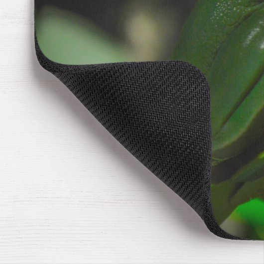 Sydney Zoo - Groene boomkikker Muismat (Hoek)