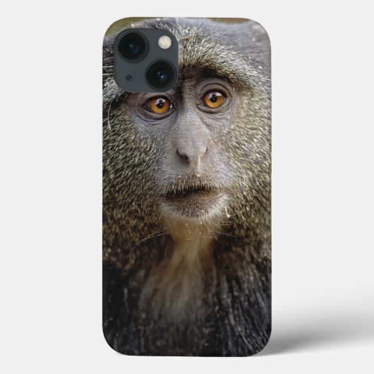 Sykes of Blauwe Meerkat, Cercopithecus mitis, Case-Mate iPhone Case (Achterkant)