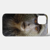 Sykes or Blue Monkey, Cercopithecus mitis Case-Mate iPhone Case (Achterkant (horizontaal))
