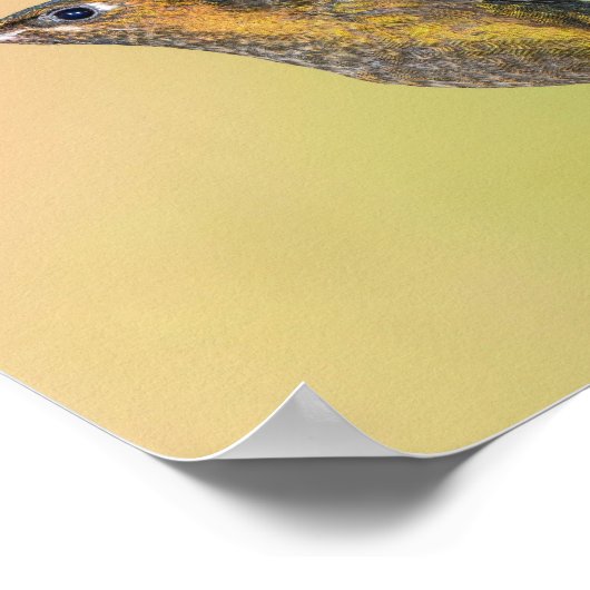 Sylph Hummingbird met Long Tail Print (Hoek)