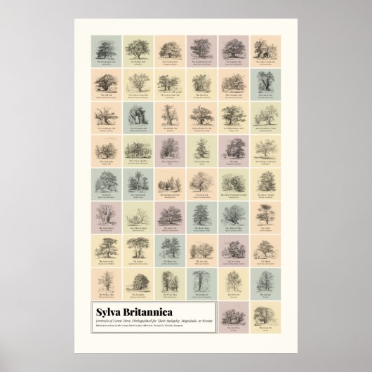Sylva Britannica Poster (Voorkant)