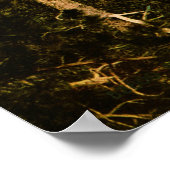 Sylvan Lake South Dakota Poster (Hoek)